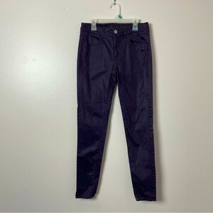American Eagle High Rise Jegging | Size 2 | Plum | Stretch Glossy Denim